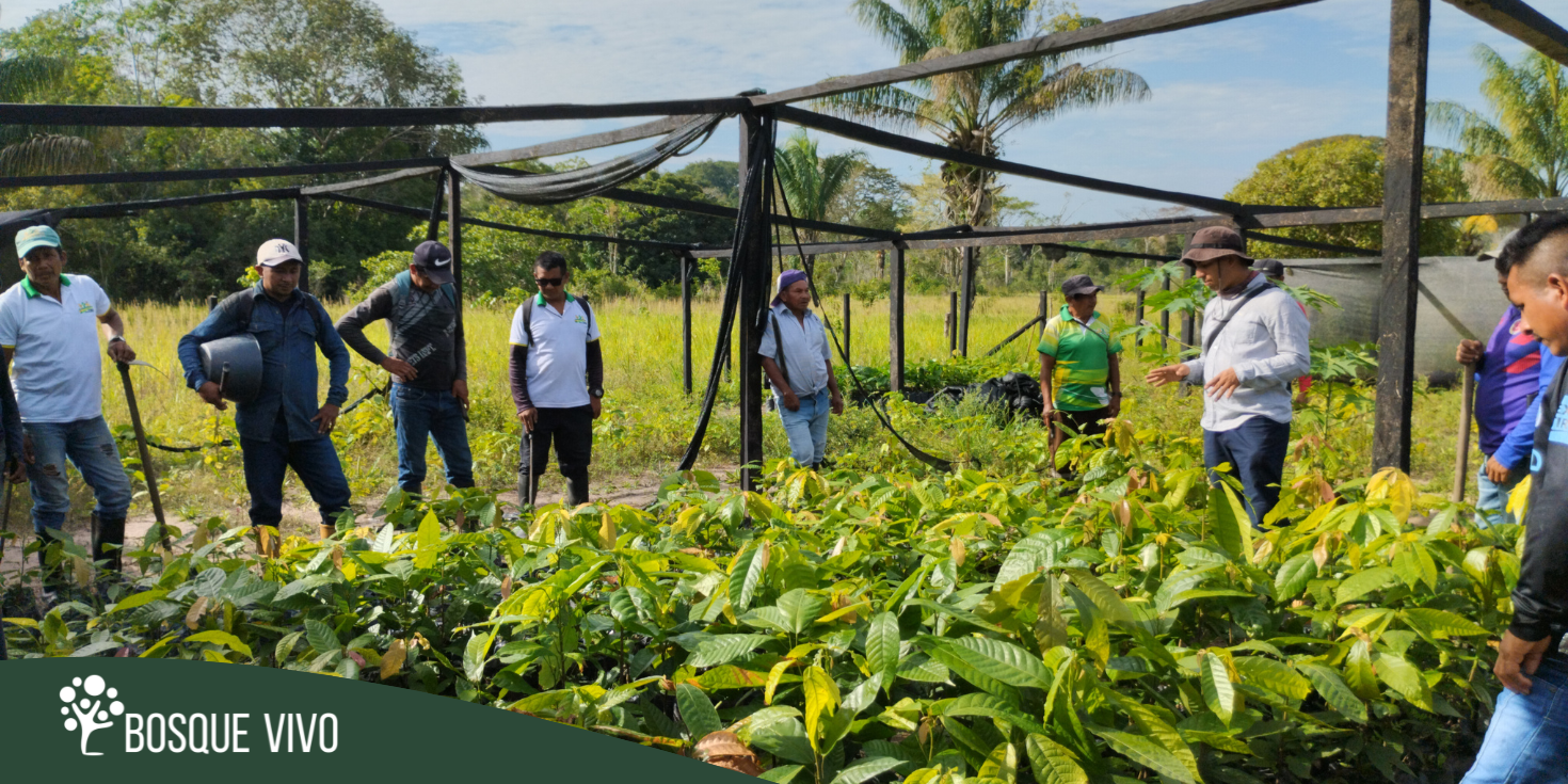 comunidad La participación activa de las personas en la construcción y mantenimiento de viveros es esencial para maximizar su impacto y beneficios.